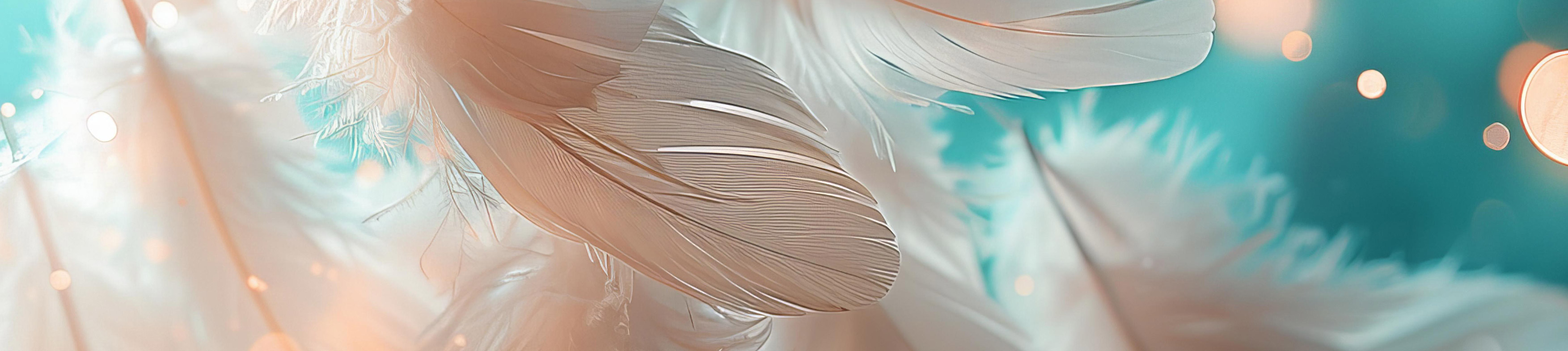 Plumes douces — Zen Émoi